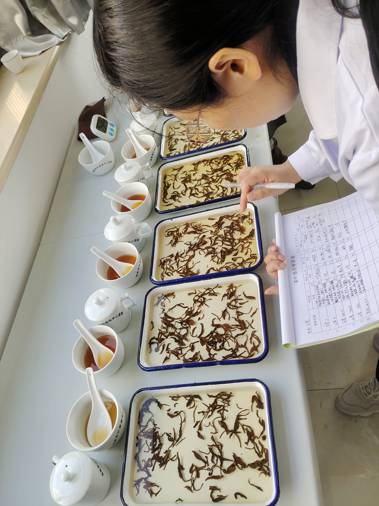 健康茶是企業紅線，質量好是企業的根基